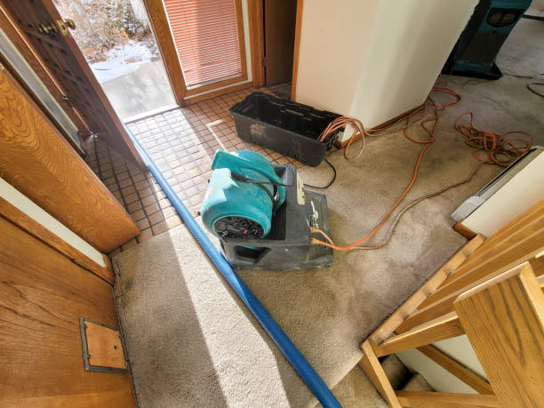 Best Water damage restoration experts  in Twin Lakes, VA