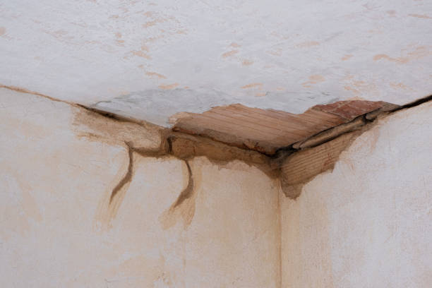 Best Flood damage cleanup  in Twin Lakes, VA
