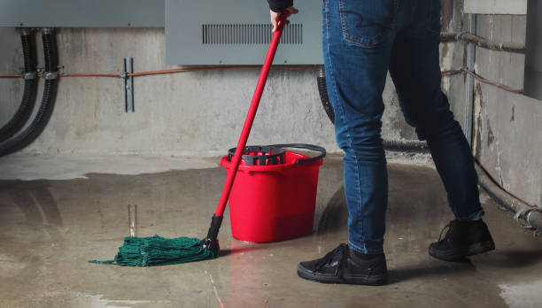 Best Water damage restoration process  in Twin Lakes, VA
